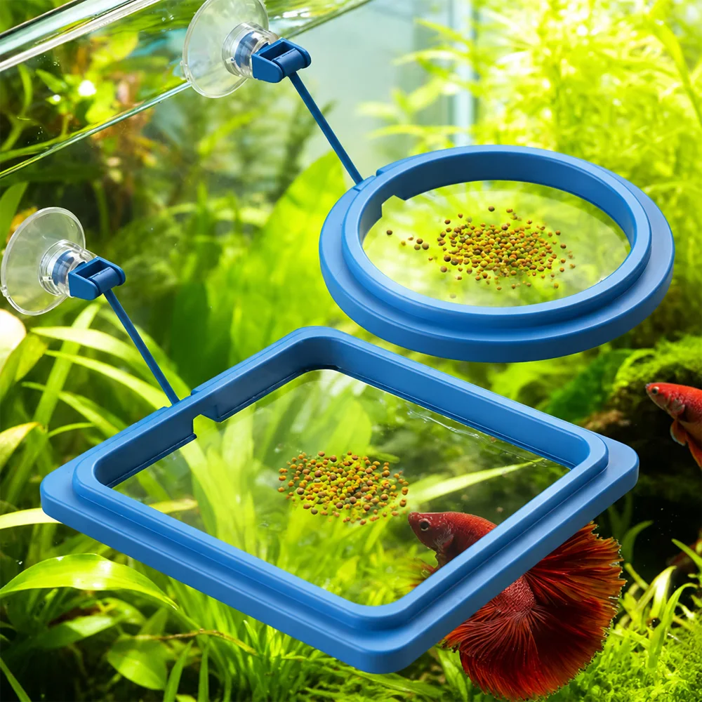 Betta Fish Food Floating Mini  - Feeding review and price