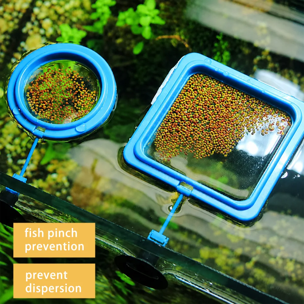 Betta Fish Food Floating Mini  - Feeding review and price